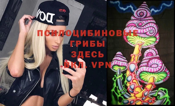 ECSTASY Абинск