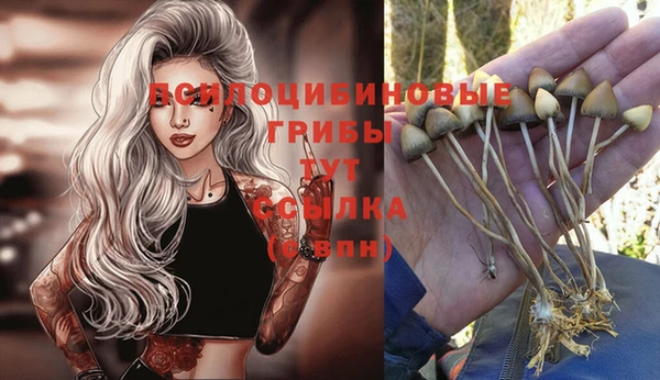 винт Абаза