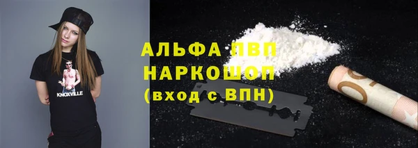 винт Абаза