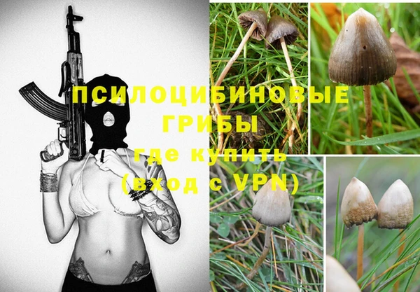 ECSTASY Абинск