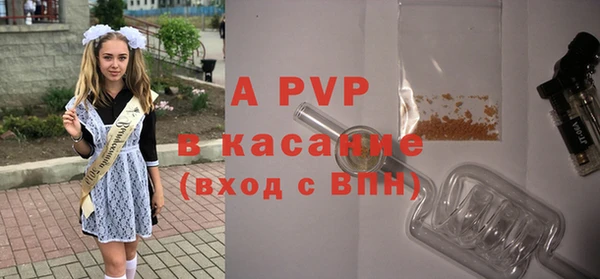 винт Абаза