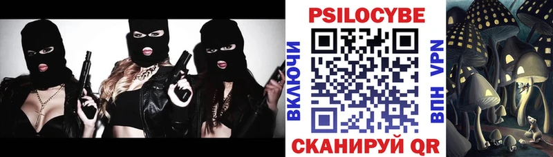 цена   Шлиссельбург  ссылка на мегу рабочий сайт  Псилоцибиновые грибы мухоморы 